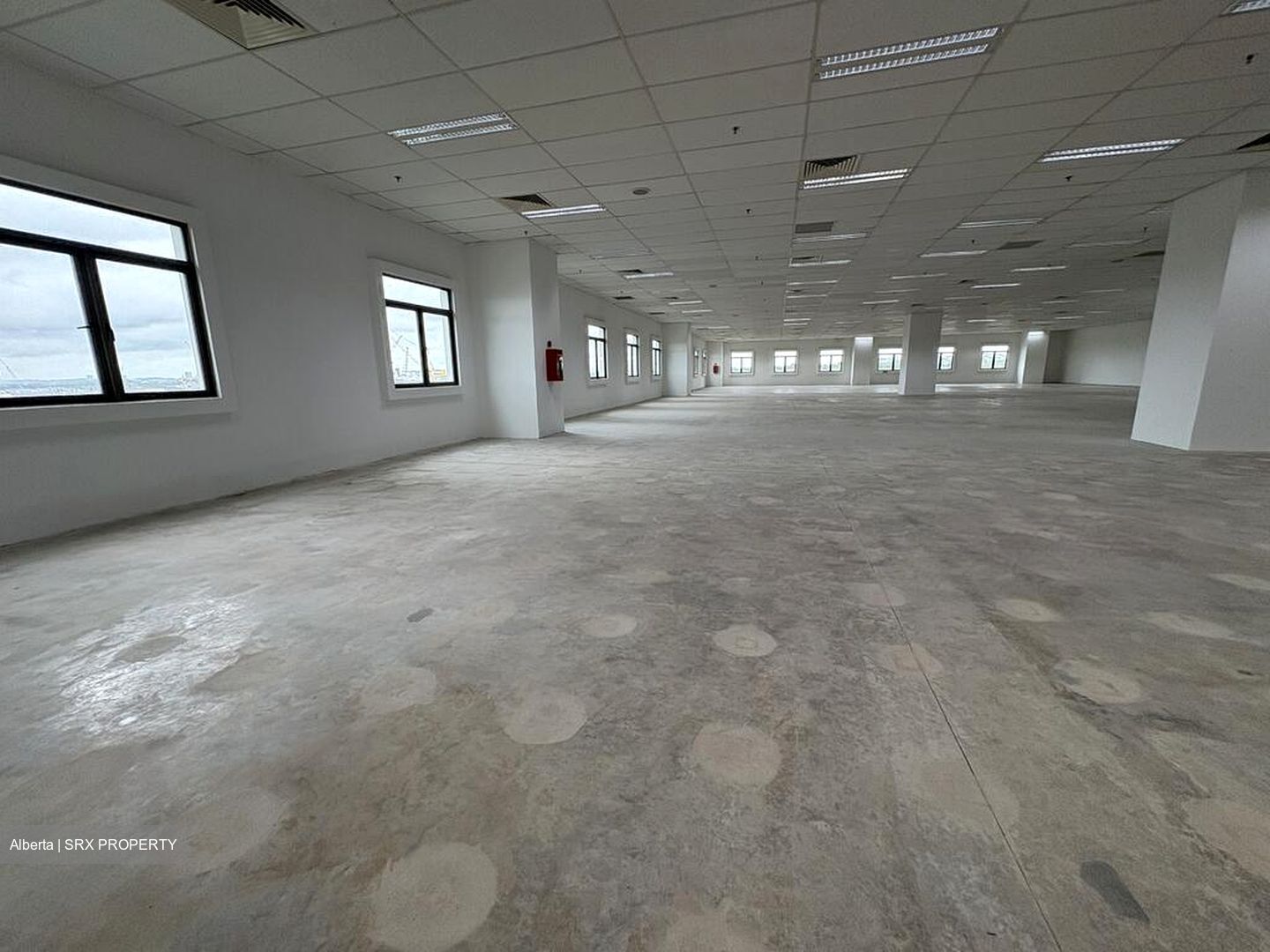 Admirax (D27), Factory #520750841